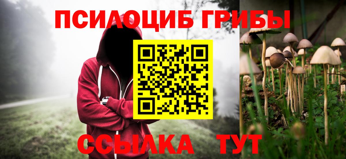 Псилоцибиновые грибы MAGIC MUSHROOMS Миллерово