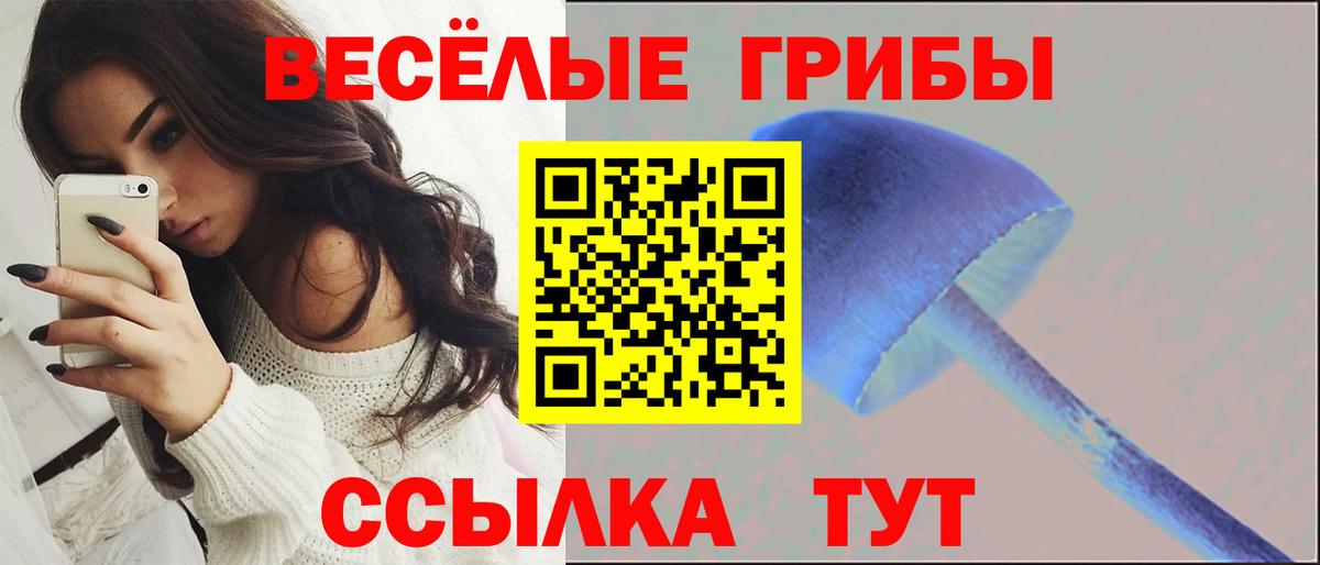 Псилоцибиновые грибы Psilocybe  Псилоцибиновые грибы Psilocybine cubensis  Миллерово  Вход с VPN 